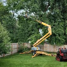 Best Tree and Shrub Care  in New Hackensack, NY