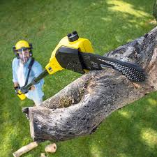 Best Stump Grinding and Removal  in New Hackensack, NY